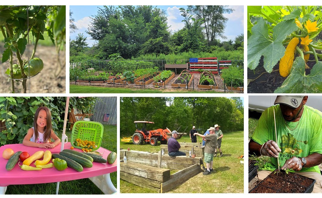 Collage of gardening